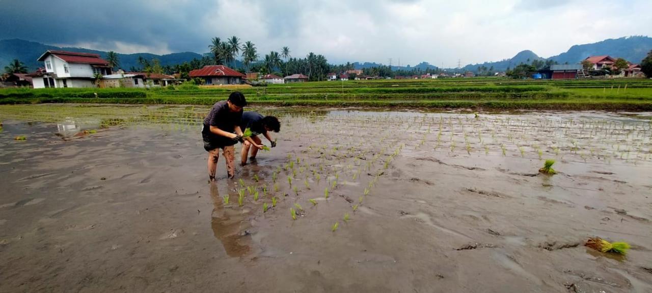 Rumah Gadang Tokama, Simarasok Baso Eksteriør bilde